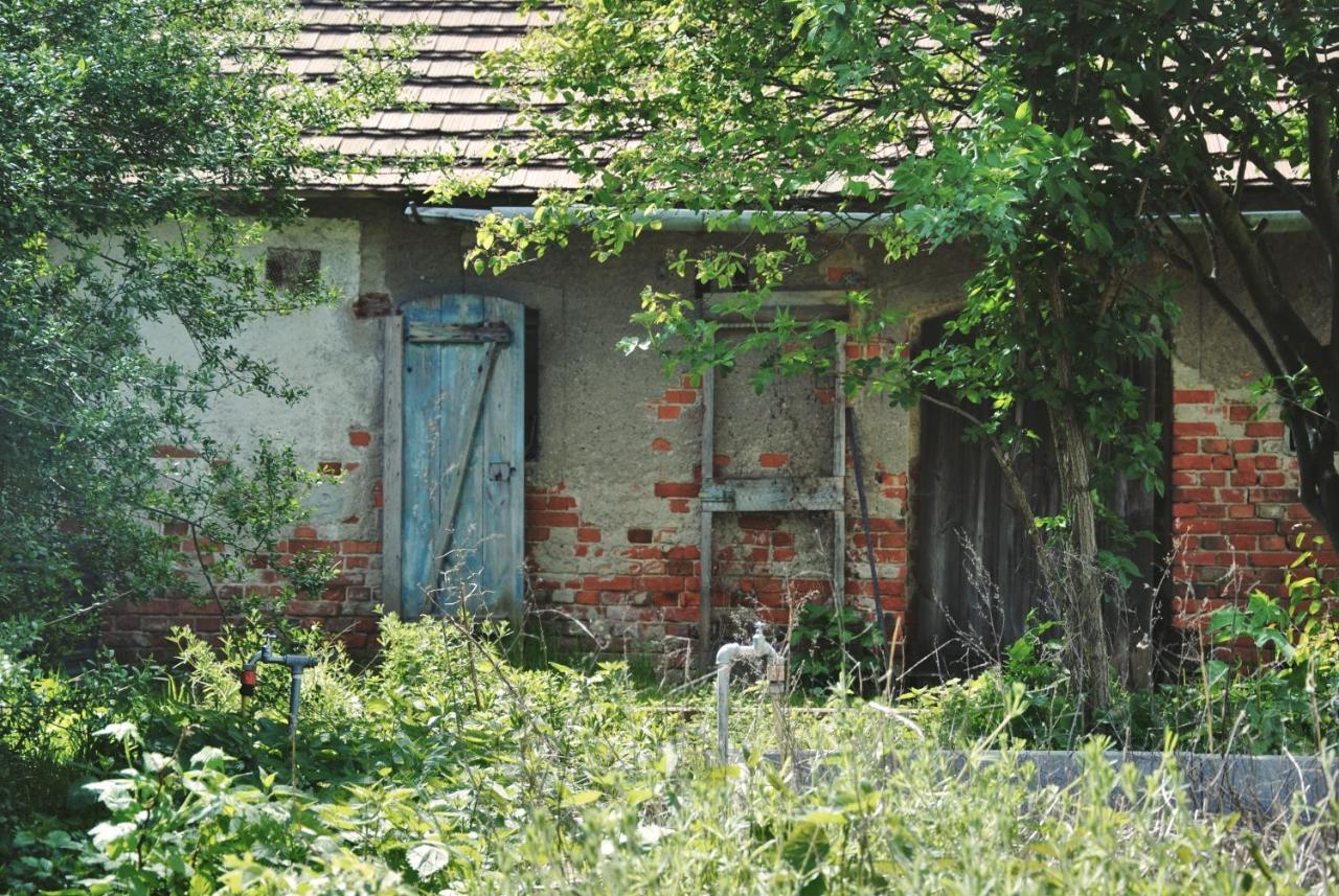 Ferienhaus Erna Doberlug-Kirchhain Exterior foto